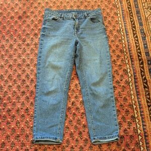 Dr. Denim Summer Night Blue Jeans